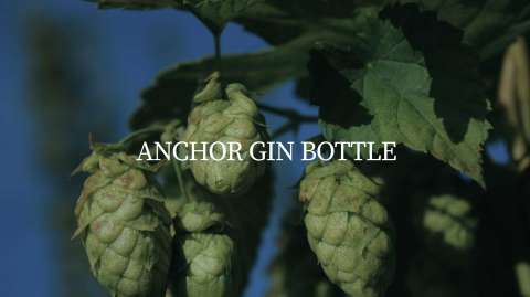 ANCHOR GIN