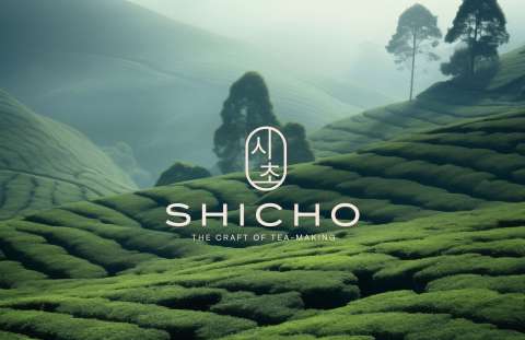 Shicho Tea