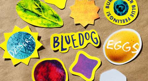 Blue Dog Rebrand