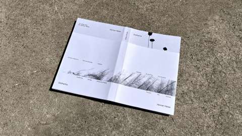 Siddhartha Book Design