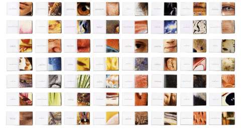 Curiosity Book
