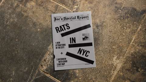 Rats In NYC