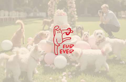 Furever
