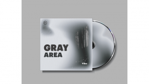 Gray area cd cover 
