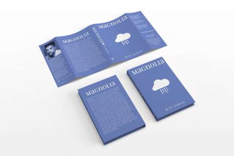 PAUL THOMAS ANDERSON BOOK COVERS