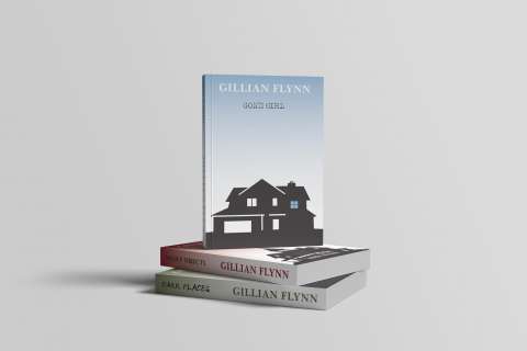Gillian Flynn Books