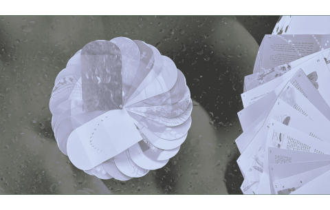 Insects & Geometry — Interactive Publication Design