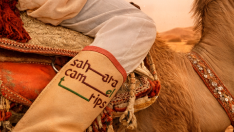Sahara Camel Trips
