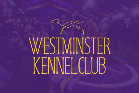 Westminster Kennel Club