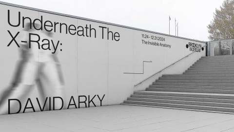 Underneath The X-Ray