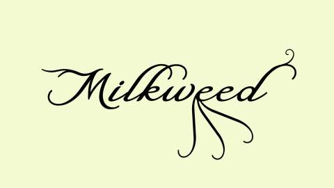 Milkweed