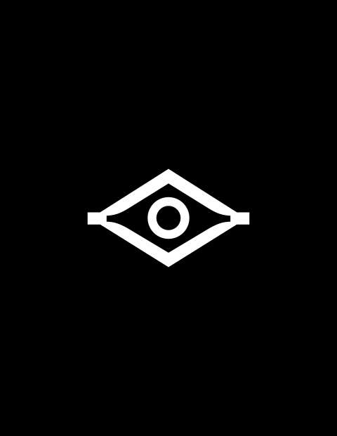 new york film festival