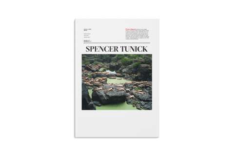 Picture Magazine ( Spencer Tunick).