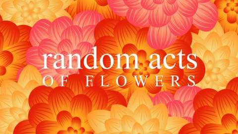 RANDOM ACTS OF FLOWERS