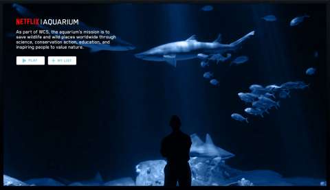 New York Aquarium Live by Netflix