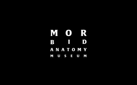 Morbid Anatomy Museum