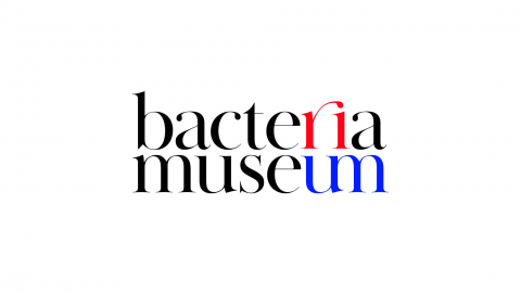 Bacteria Museum Identity