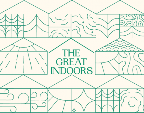 The Great Indoors 