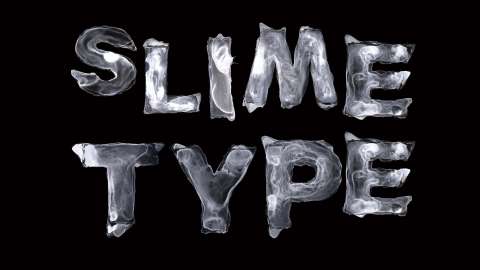 Slime Type