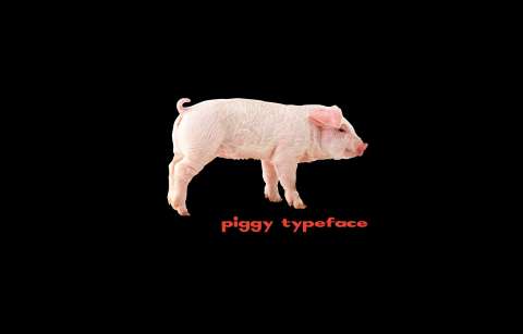 Piggy Typeface