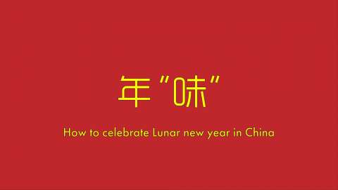 Study on Lunar New Year Festival