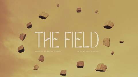 THE FIELD