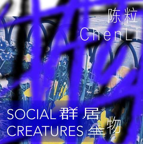 Social Creature/群居生物