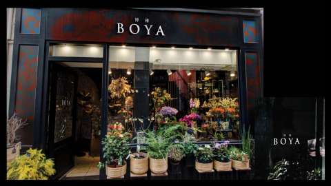 Flower Shop Redesign: BOYA