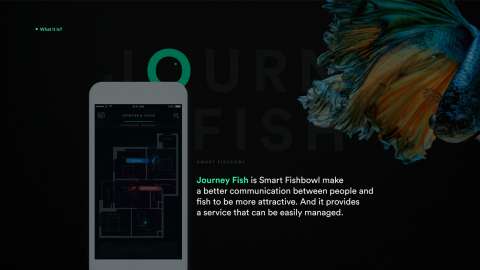 Journey Fish (Smart Fishbowl)