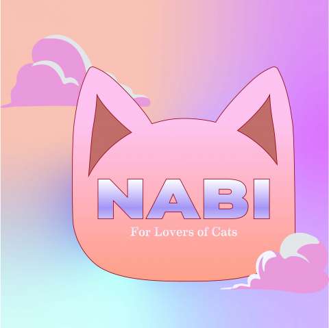 The Nabi Project