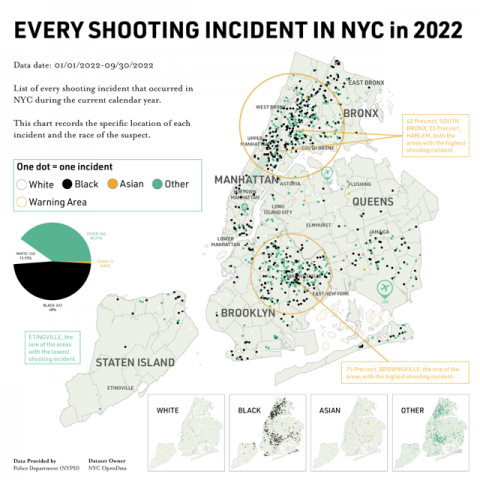 NYC SHOOTING INCIDENT CHART / INFOGRAPHICS