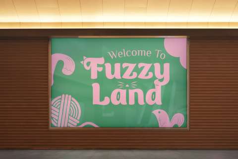 Welcome to FuzzyLand!