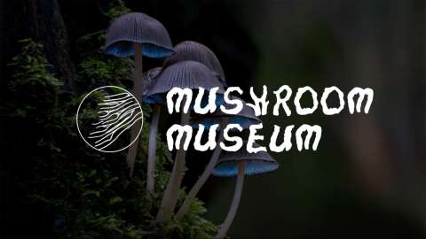 Mushroom Museum Branding