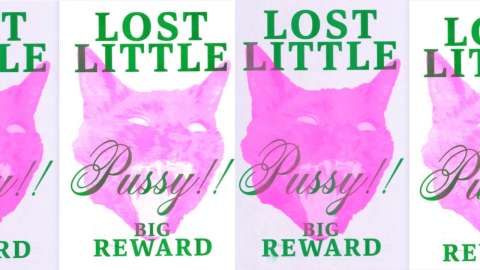 LOST LITTLE PUSSY POSTER