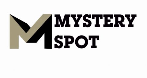 Mystery Spot Brand Identity