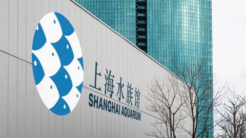 Shanghai Aquarium Rebrand