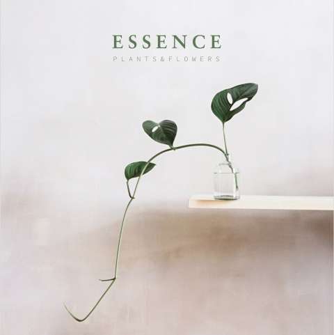 Essence