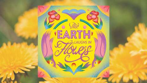 Typographic Illustration
