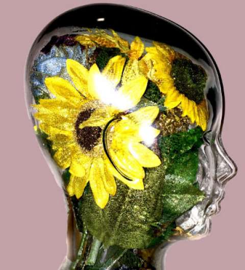 Flowered Glass 