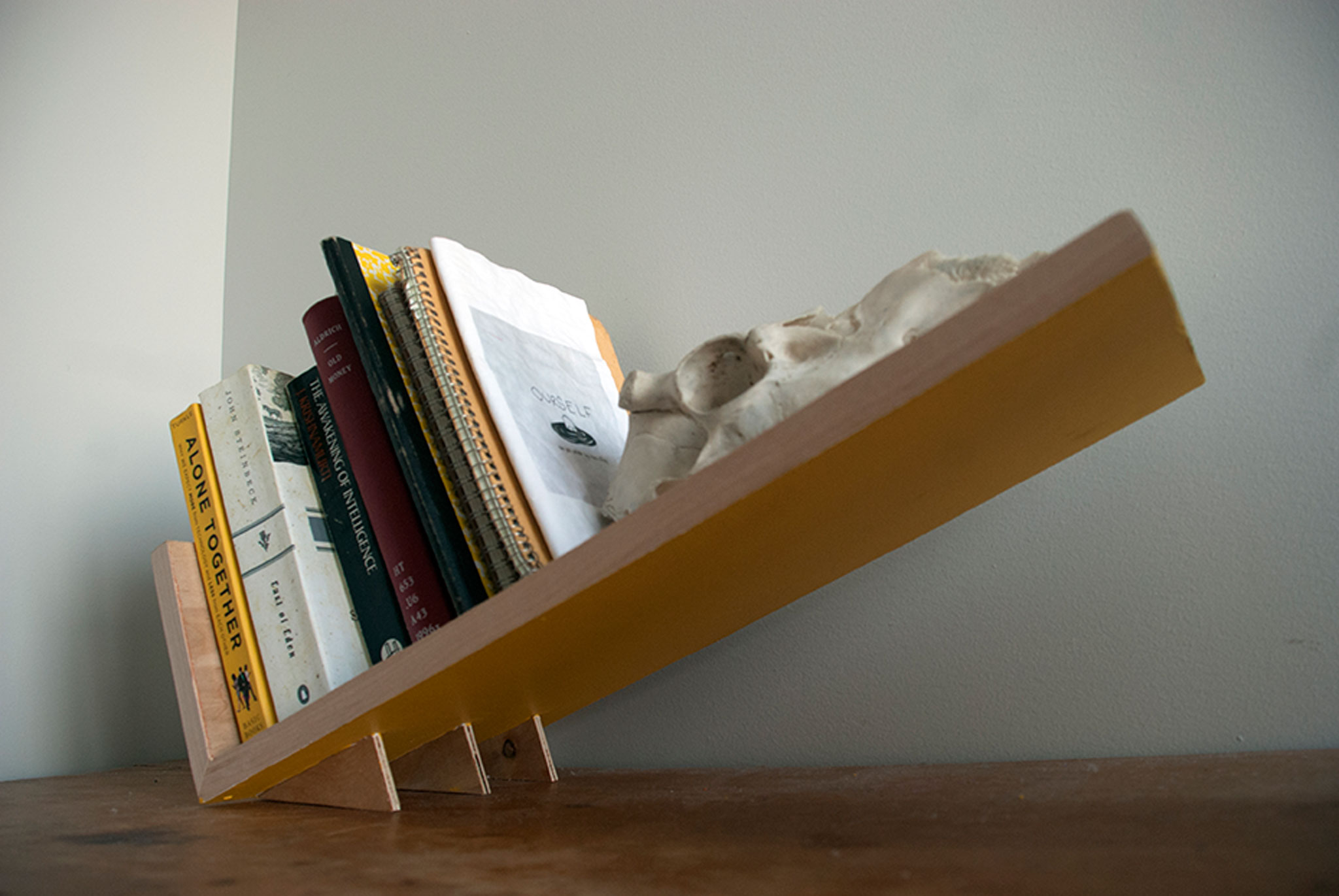 Tilted bookshelf deals