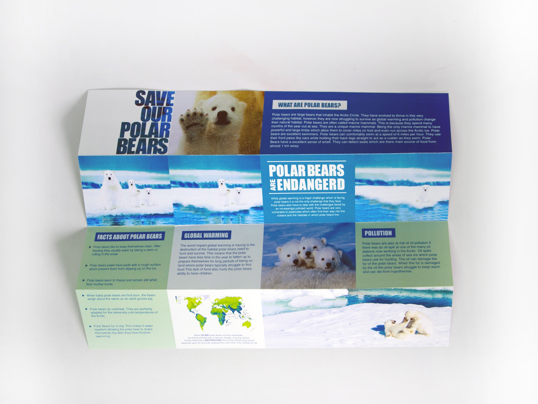 The Hidden Truth About Polar Bears: You Won'T Believe This! - b9enxk3