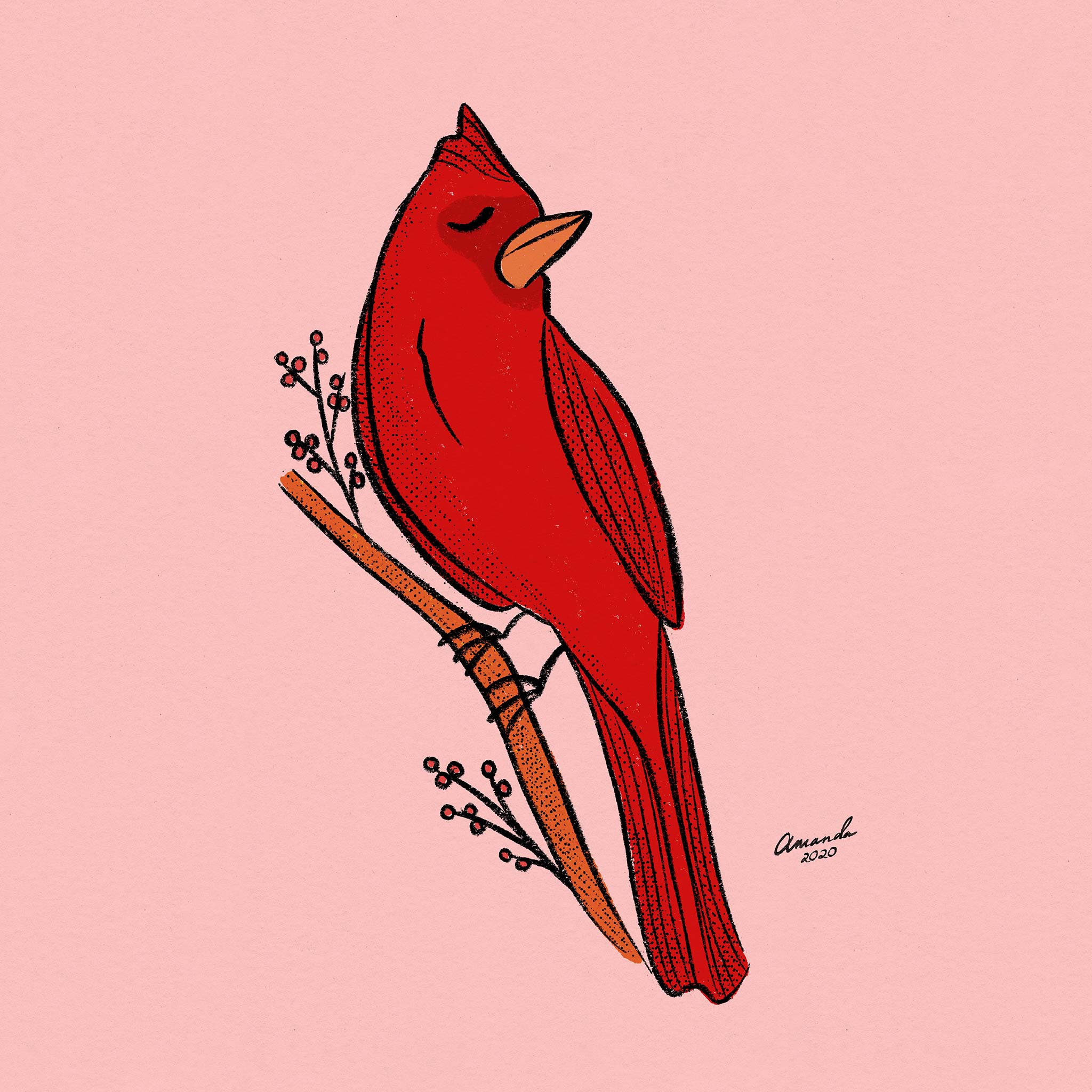 red-cardinal-by-amanda-dellavecchia-sva-design