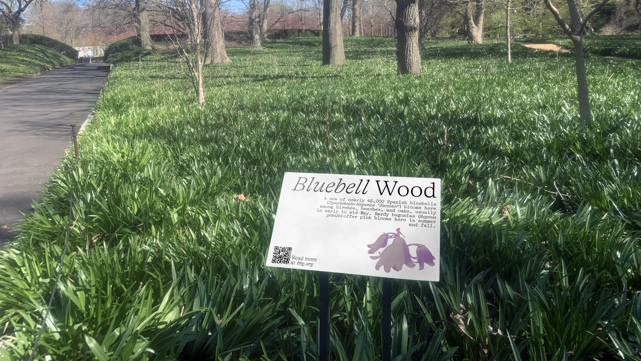 Brooklyn Botanic Garden Rebrand by Ryan Shea SVA Design