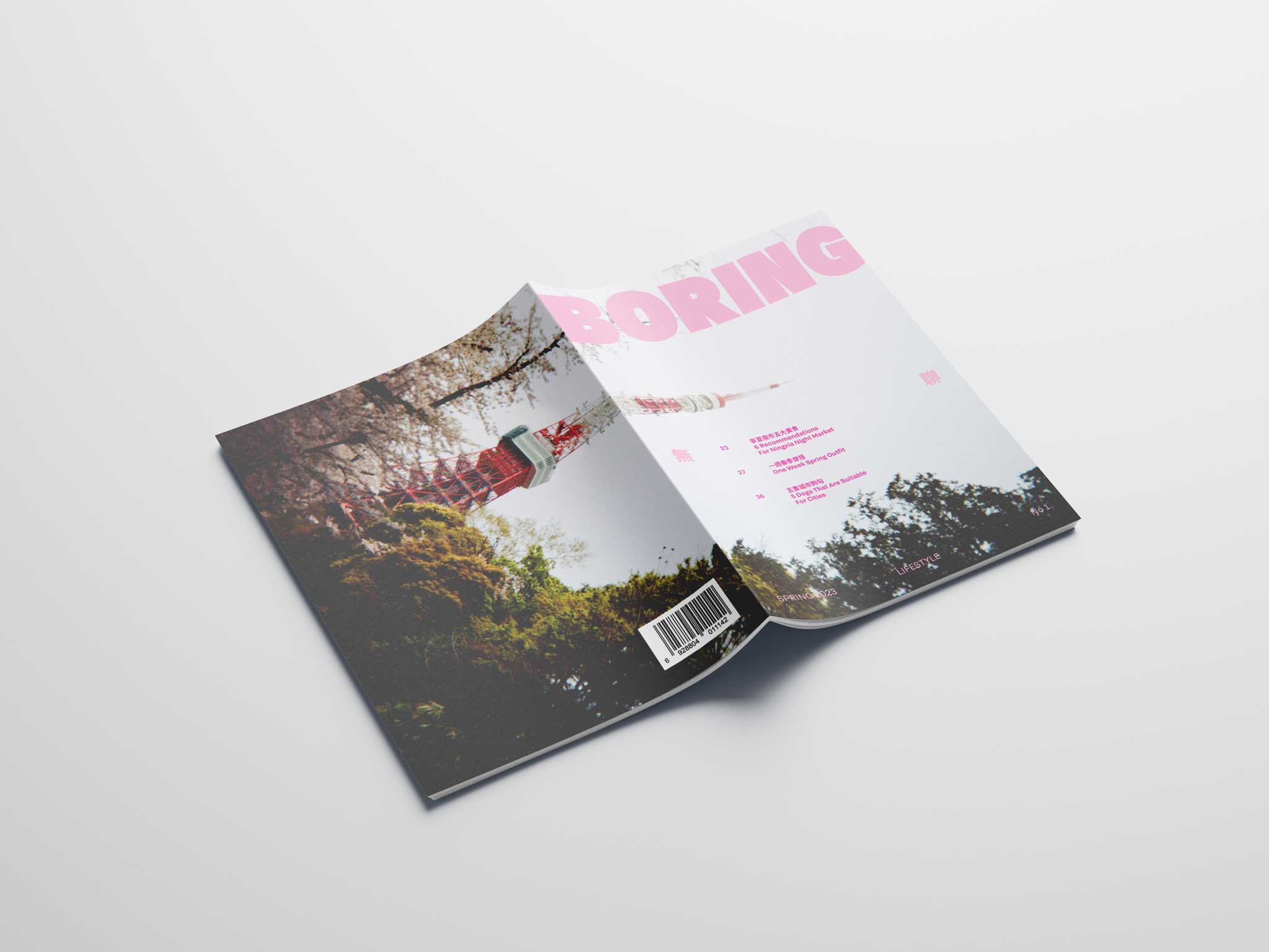 Boring Magazine by Angie Cheng SVA Design