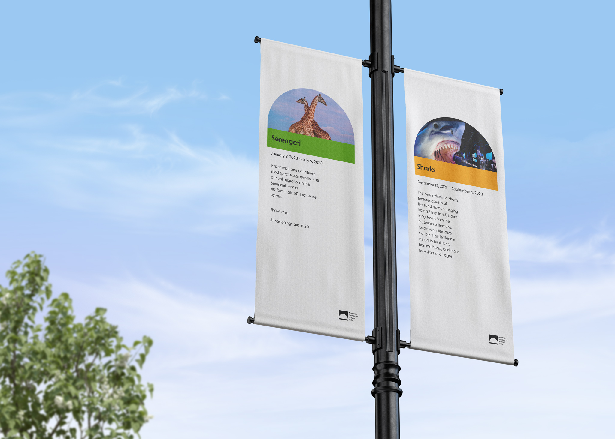 American Museum Of Natural History By Heeyeon Yang Sva Design