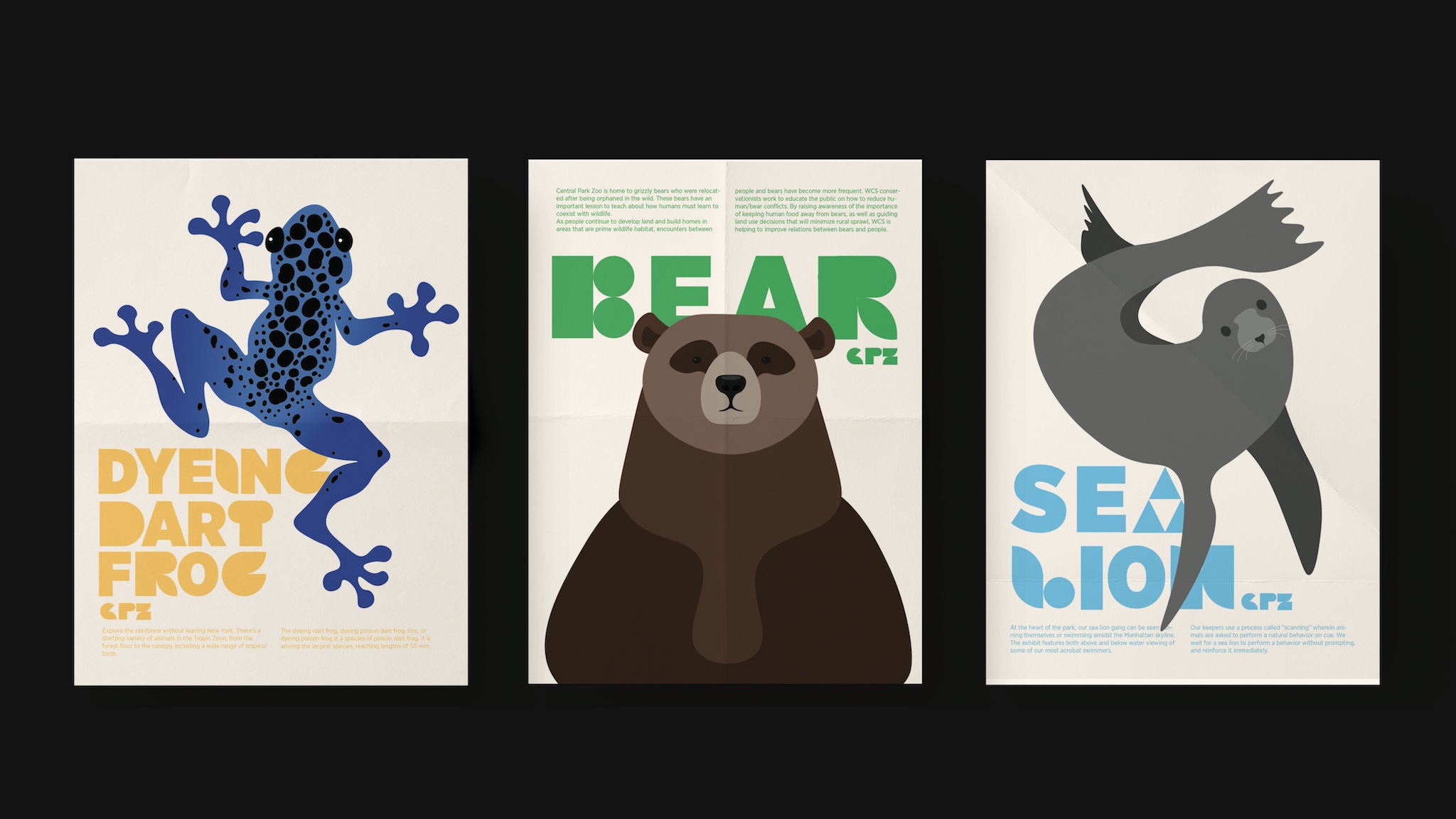 Rebranding Central Park Zoo by Wanting Wei – SVA Design