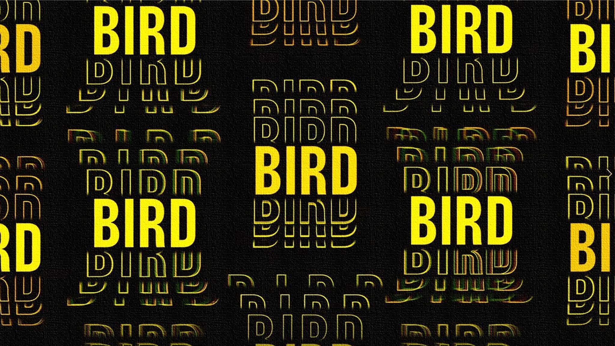 Typography Rrrr Sund Another Day of Sound: A Kinetic Typography Exploration of Daily ...