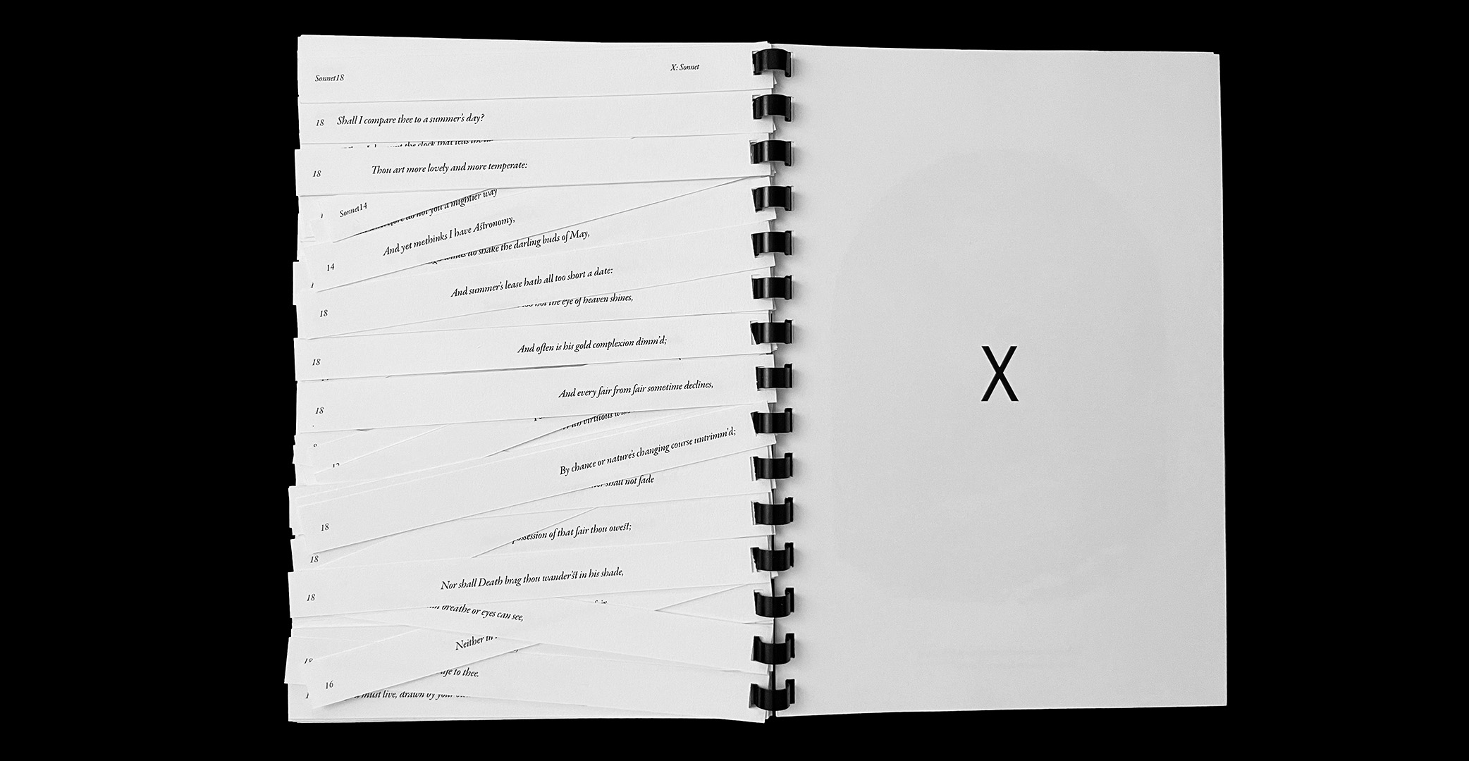 x-by-tian-qin-sva-design