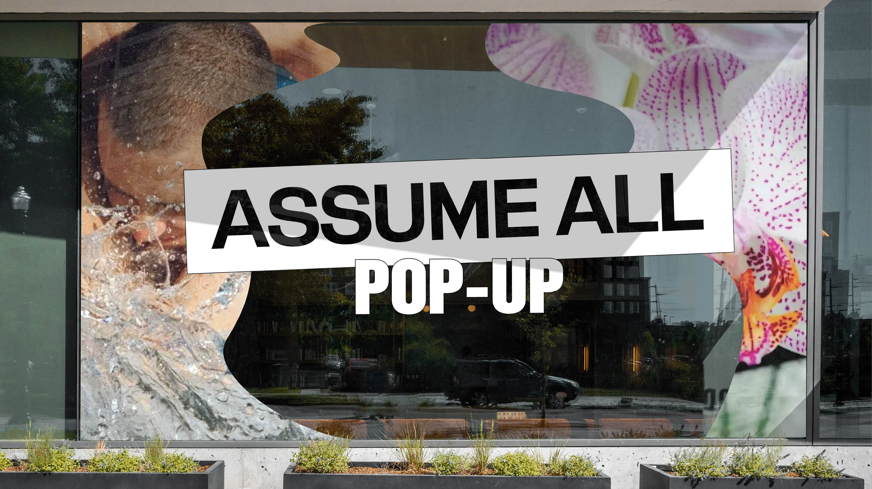 ASSUME ALL by Briana Rengifo – SVA Design